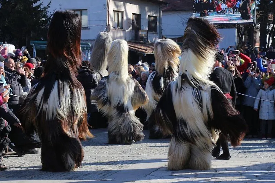 Hotel Alpin - 91 Bansko