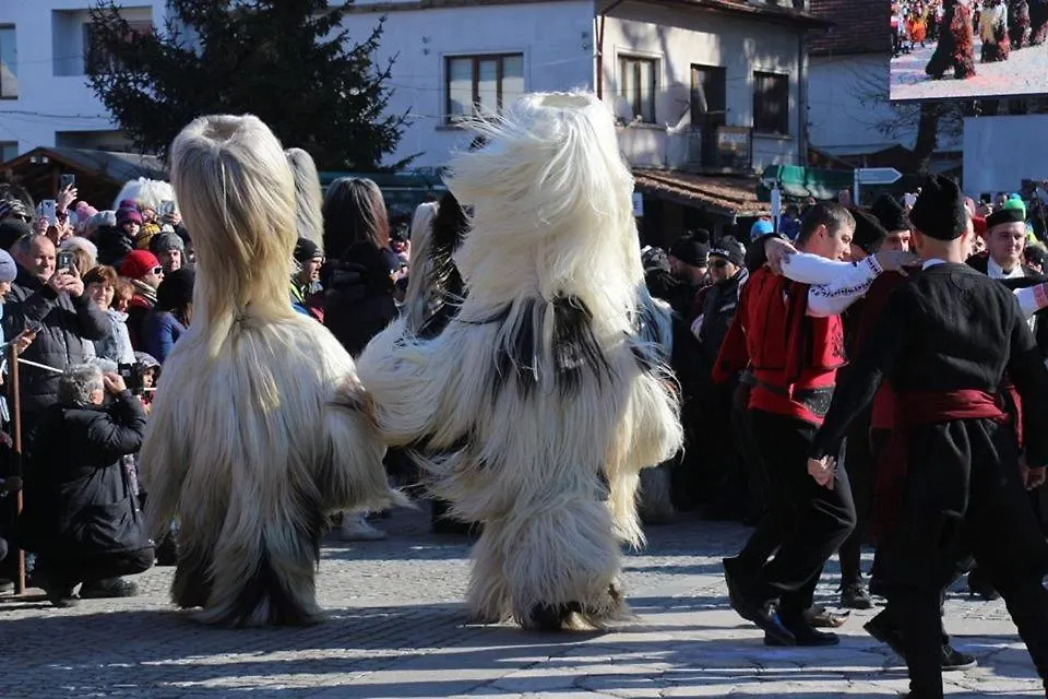 **  Hotel Alpin - 91 Bansko Bulgária