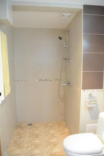 Hotel Alpin - 91 Bansko