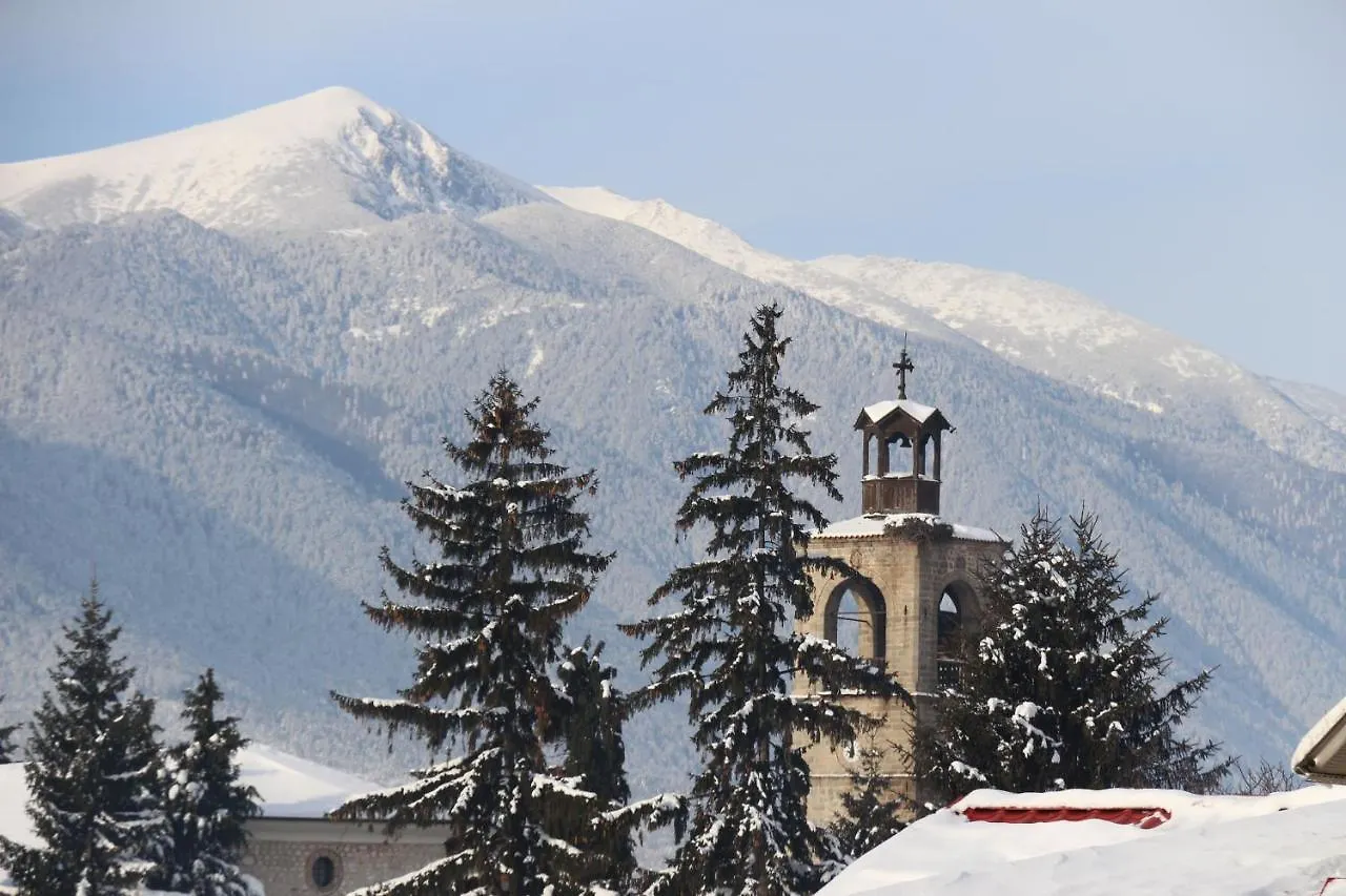 Hotel Alpin - 91 Bansko