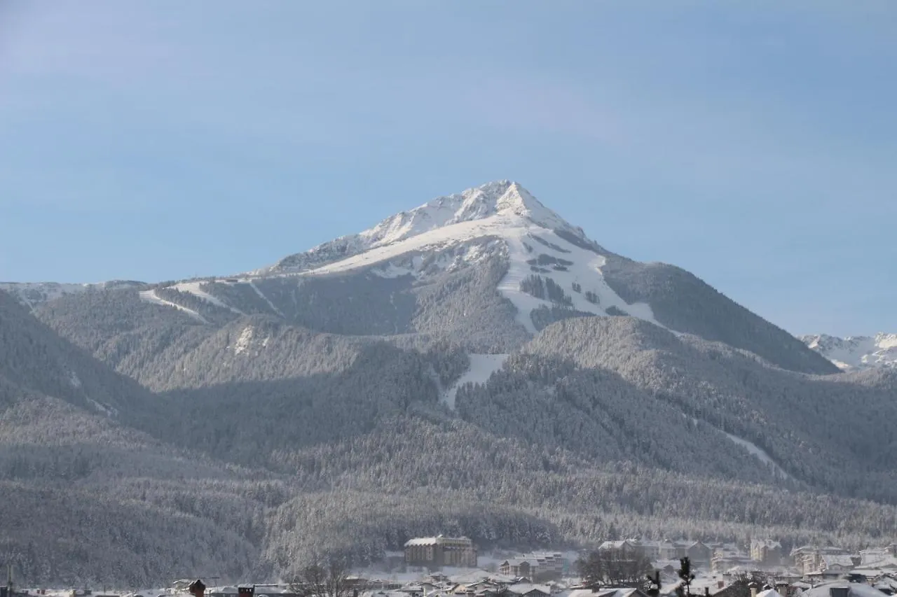 Hotel Alpin - 91 Bansko