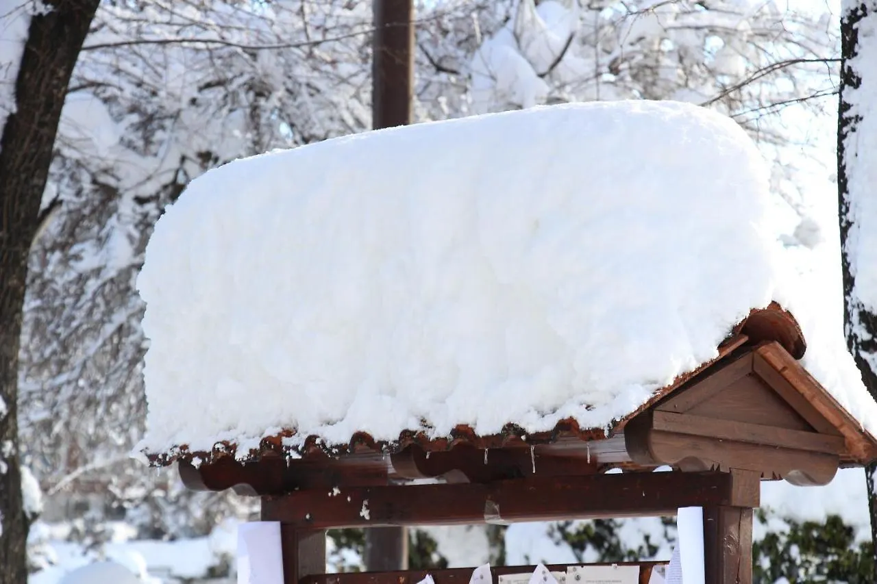 Hotel Alpin - 91 Bansko