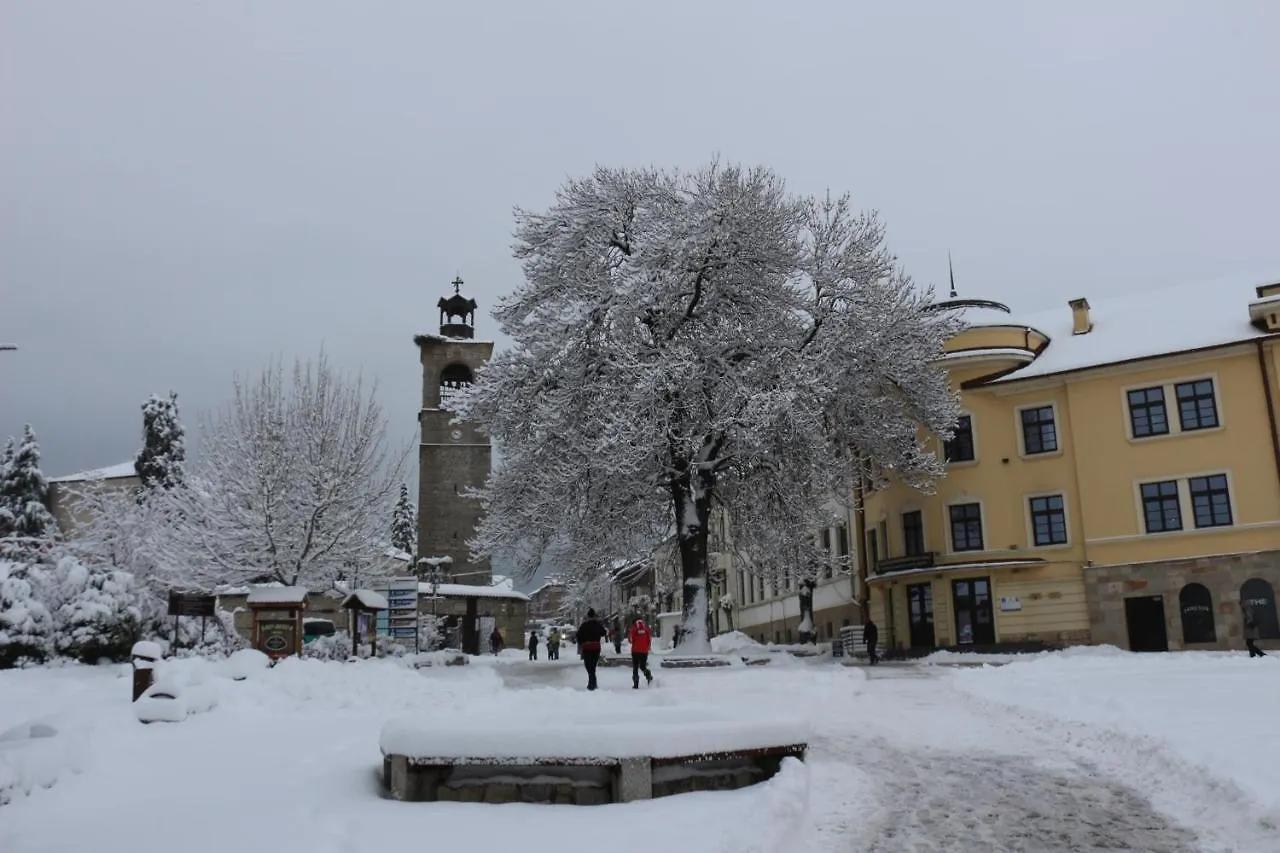 Hotel Alpin - 91 Bansko